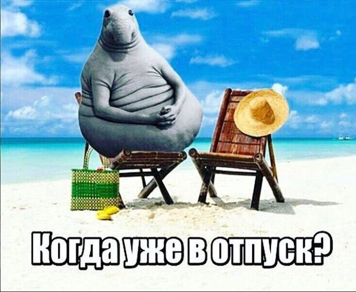 Старые мемы, которые помнит весь интернет
